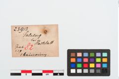 Etiketten zu Beinring (NHMW-PRAE-023913)